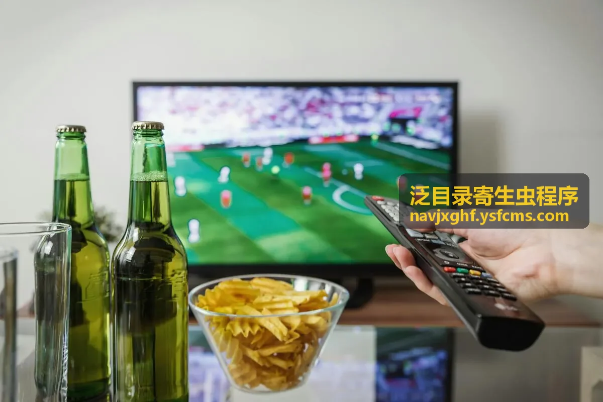 太子传说HD国语版异常目录检查示意